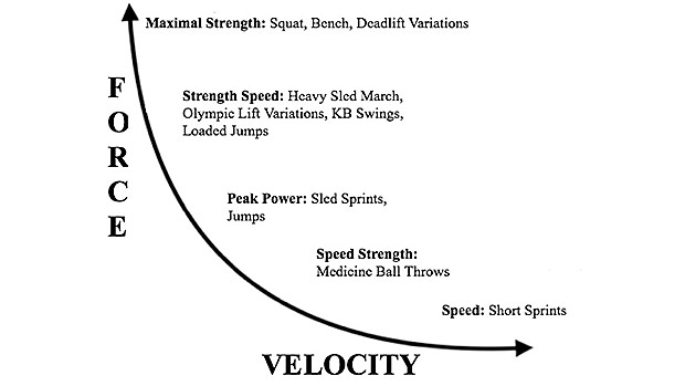 The Force Velocity Curve